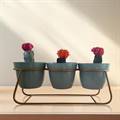 Colorful Cacti in Triple Metal Pots