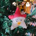 Felt Red & White Star Christmas Decoration