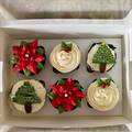 Ministry of Cupcakes - Box of 6 - Christmas Decor 