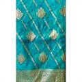 Organza Sari 002