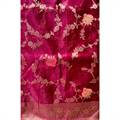 Organza Sari 005