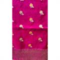 Organza Sari 008