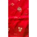 Organza Sari 010