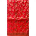 Organza Sari 011