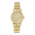 Titan Gold Analog Watch - 2490YM04