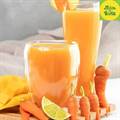 Gut Fit Wellness Shot (100 ml) from Juice & Fruits