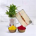 Playful Colors Rakhi with Lucky Bamboo Plant and Tika – Type B