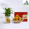 Lucky Bamboo with Best Baba Mug & Sugarless Besan Laddoo