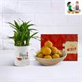 Lucky Bamboo with Bhai Tika Mug & Besan Laddoo