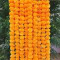Sayapatri (Marigold) Decorative Strands (5 Strands)