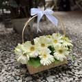 Ivory Gerbera Charm Basket