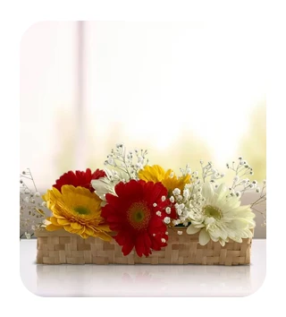 Flower Decor