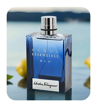 Men's Fragrances