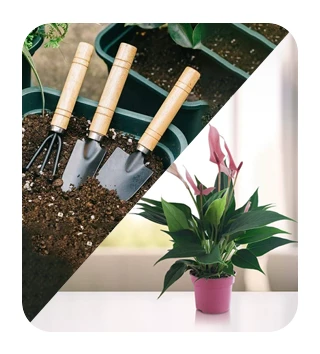 Plants & Gardening Tools